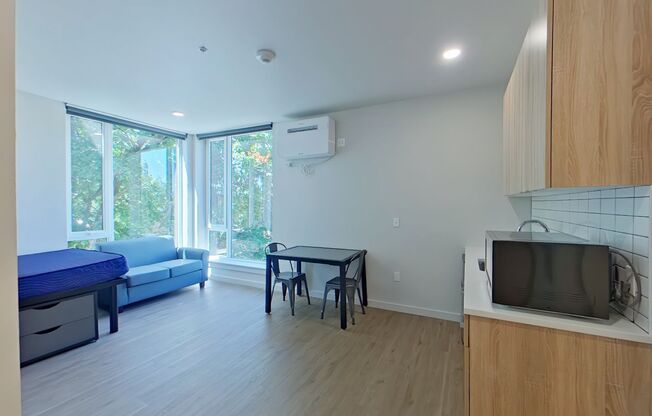 Studio, 1 bath, 314 sqft, $1,225, Unit 401