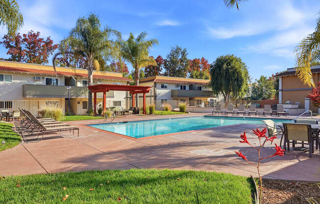 A pool surrounded by a patio and trees.