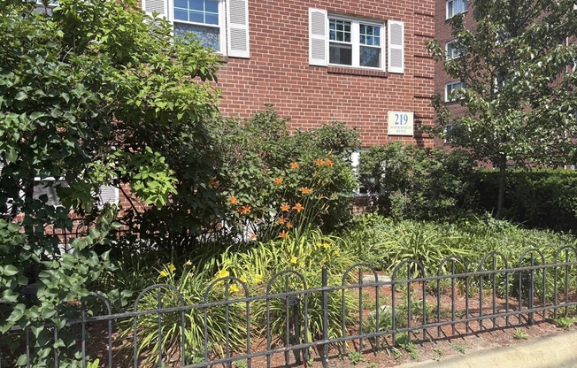 219 MASSACHUSETTS AVE
