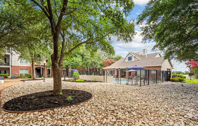 A tree in a circle of stones is the focal point of this image.