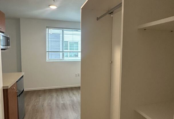 Studio, 1 bath, 175 sqft, $1,250, Unit 3401