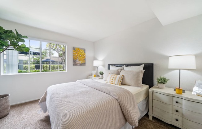 a bedroom with a bed and a window