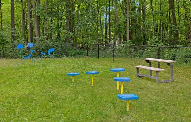 On-site Dog Park