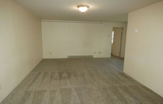 1 bed, 1 bath, 519 sqft, $1,150, Unit 231