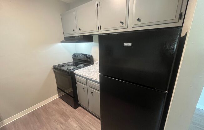 1 bed, 1 bath, 740 sqft, $785