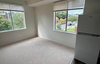 Studio, 1 bath, $1,350, Unit 204