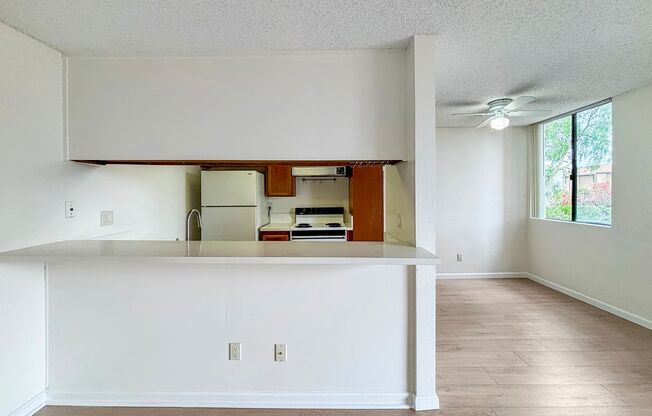 Charming 1BD/1BA Condo in University City W/ Community Pool and On-site Laundry!