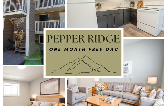 1 bed, 1 bath, 480 sqft, $899, Unit 214