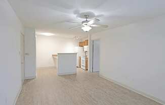 A room with a ceiling fan and lighting fixture.