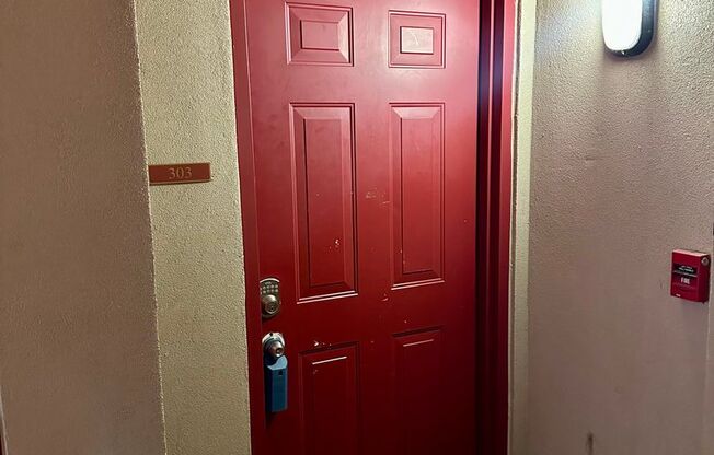 2/2 Apartment Walking Distance from UT