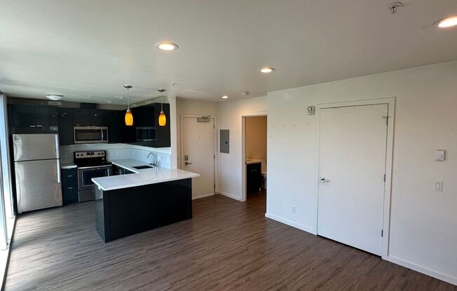 Carol Apartments