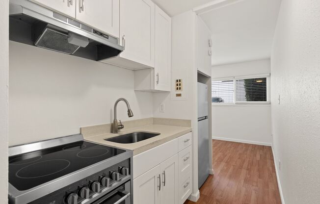 Studio, 1 bath, 355 sqft, $1,250, Unit 207
