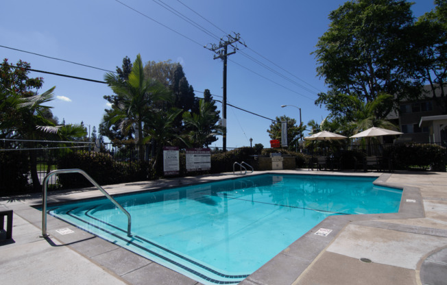 A large swimming pool surrounded by trees and a fence.