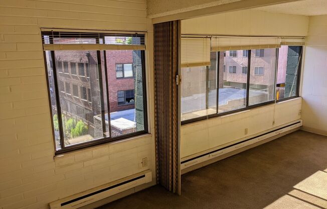Studio, 1 bath, 302 sqft, $1,100, Unit 104