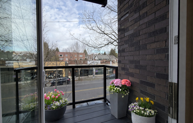 Studio, 1 bath, 278 sqft, $1,825, Unit 207