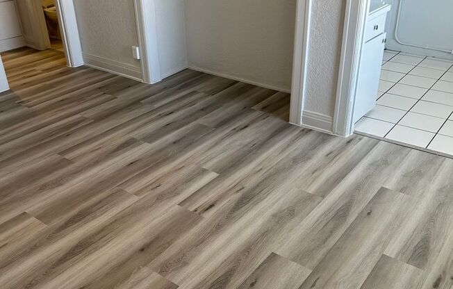 Studio, 1 bath, 340 sqft, $1,695, Unit 514