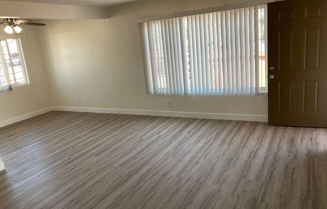 Linden 650