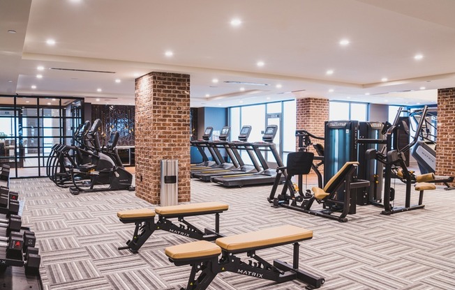 Fitness Studio with Cardio & Weight Stations