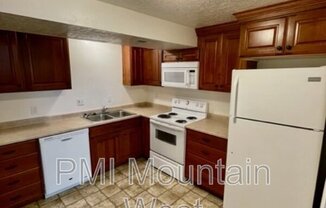2007 NEVADA CIR