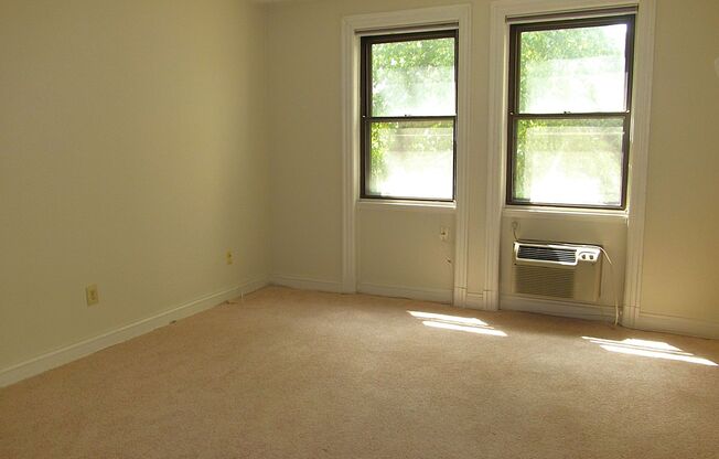 Zoo-licious Spacious Studio Apt across from the Zoo in Cleveland Park!