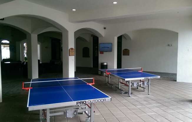 Ping Pong Tables at Orchid Run Apartments in Naples, FL