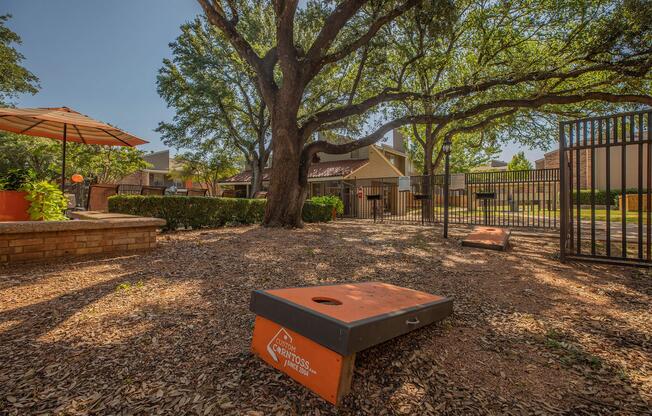 a tree in a park