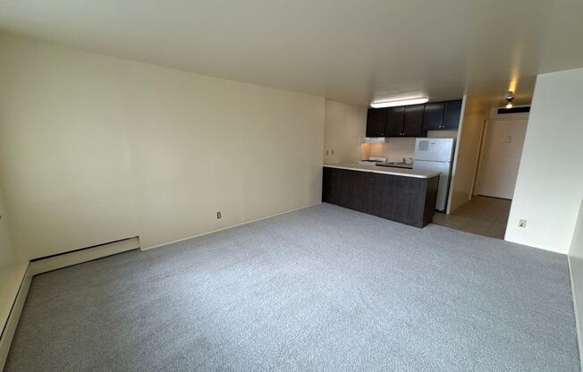 Studio, 1 bath, 375 sqft, $825, Unit 604