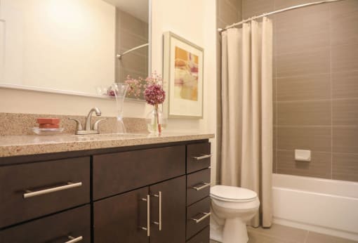 Mocha Cabinet Bath at Metro Crossing Apartments, Owings Mills, Maryland