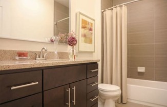 Mocha Cabinet Bath at Metro Crossing Apartments, Owings Mills, Maryland