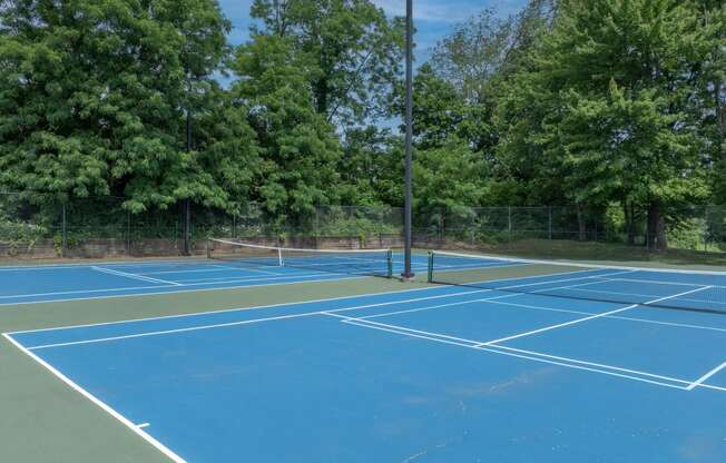 two tennis courts with trees in the background