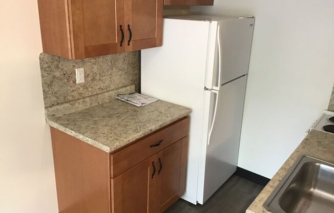 Studio, 1 bath, 384 sqft, $875, Unit FR31021