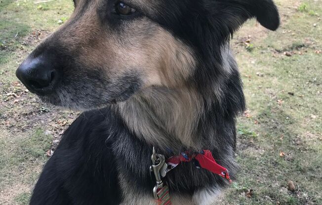 2 beds, 2 baths, 1,206 sqft, $1,860, Unit 5407