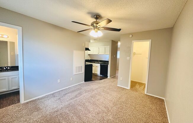 Studio, 1 bath, 500 sqft, $795, Unit 204