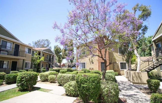 Courtyard Garden Space at Creekside Villas Apartments, San Diego, California