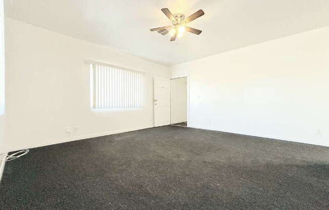 8251 SAN PEDRO ST