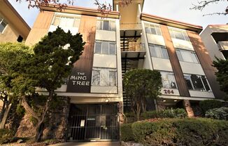 The Ming Tree- 264 Lee St.