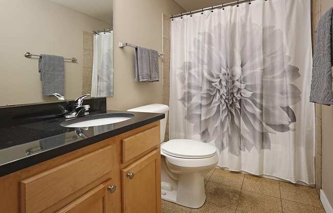 Model Suite Updated Master Bathroom - Stonebridge Waterfront in Flats District Cleveland OH