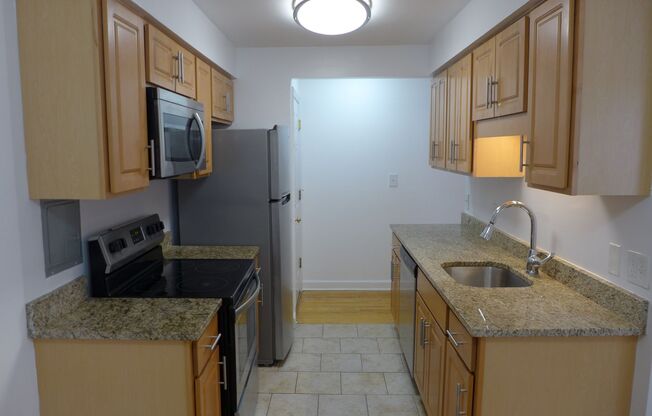 1 bed, 1 bath, 650 sqft, $1,595, Unit 503