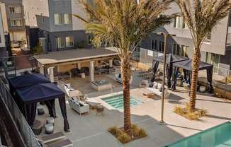 a view of the pool at vivo vivo city condominiums with palm trees