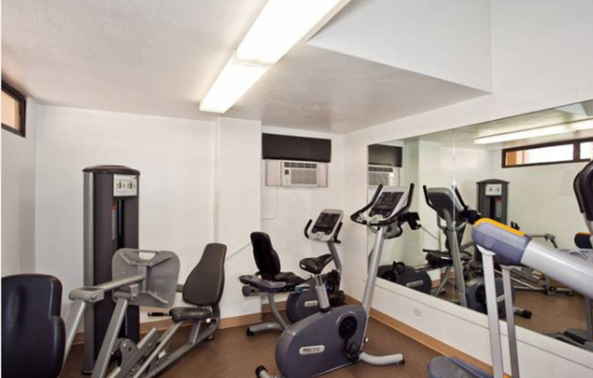 1 bed, 1 bath, $3,000, Unit # 1213