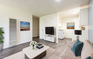 A living room with a couch, a coffee table, and a television.