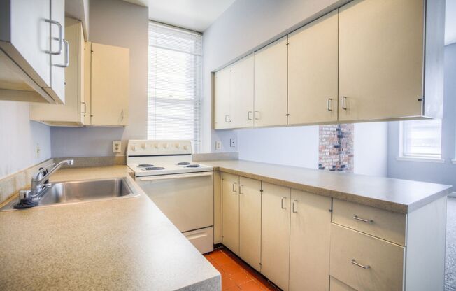 Fenced in backyard, in the heart of historic Soulard.