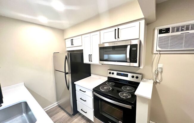 Studio, 1 bath, 360 sqft, $850, Unit A3