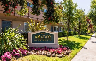 Welcome to Amador Apartments