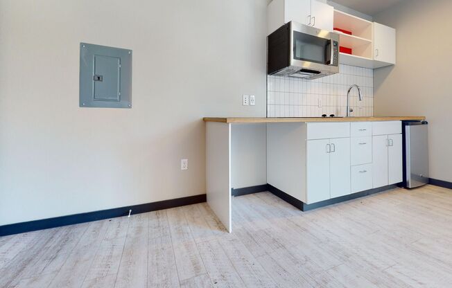 Studio, 1 bath, 258 sqft, $1,250, Unit 402