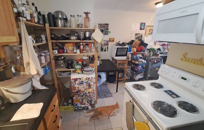 1 bed, 1 bath, 550 sqft, $1,150, Unit 310