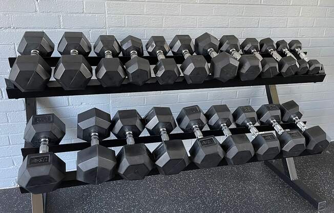 Dumbells at Barracks West apartments in Charlottesville, VA