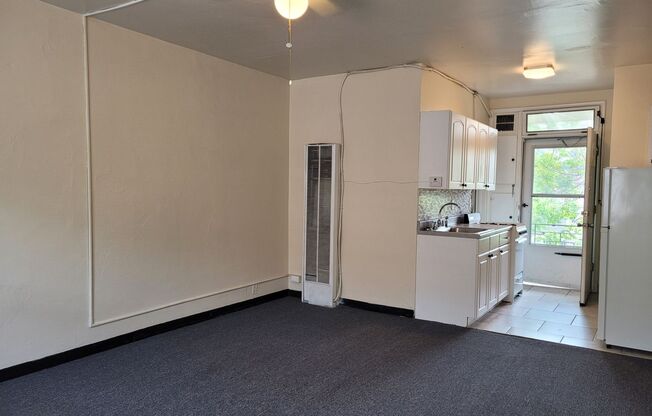 Studio, 1 bath, $825, Unit 209
