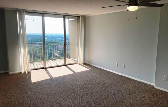 Studio, 1 bath, $1,190