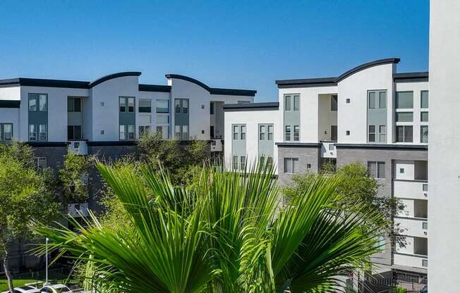 A row of modern houses with a palm tree in the foreground.